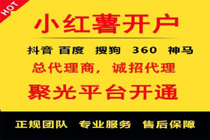 SEM托管服务成功案例背后的故事